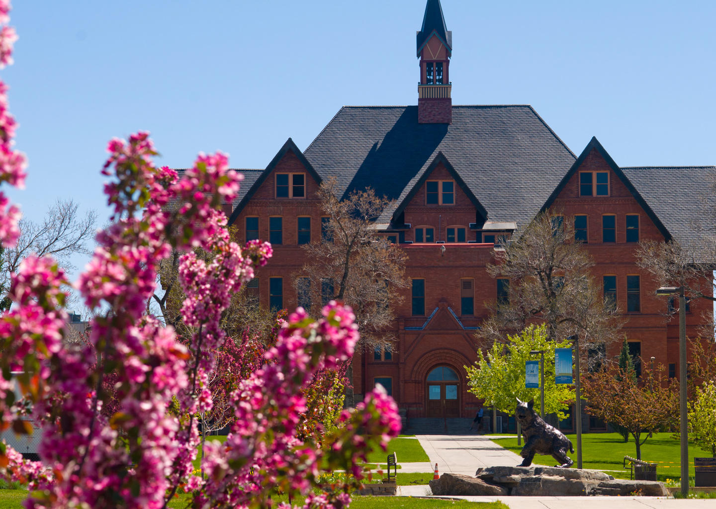 Montana State University, USA - Ranking, Reviews, Courses ...